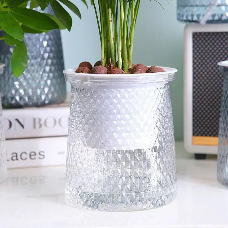 Hydroponic Grow Pod - 2024 Vaso da fiori trasparente con