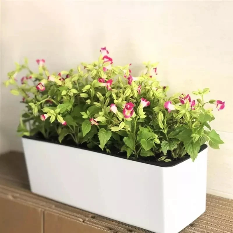 Hydroponic Grow Pod - Vaso da fiori pigro rettangolare Vaso