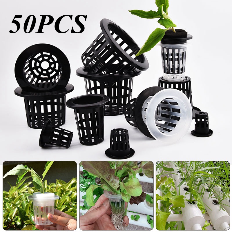 Hydroponic Grow Pod - 50 Pezzi Vasi per Coltivazione Idroponica