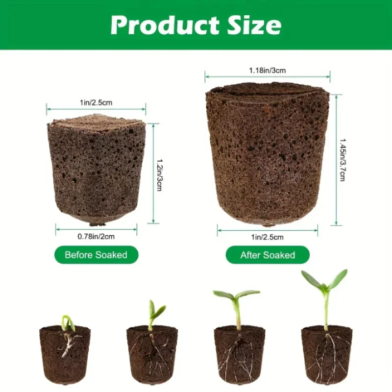 Indoor Garden Kit - Kit di Spugne per Germinazione per