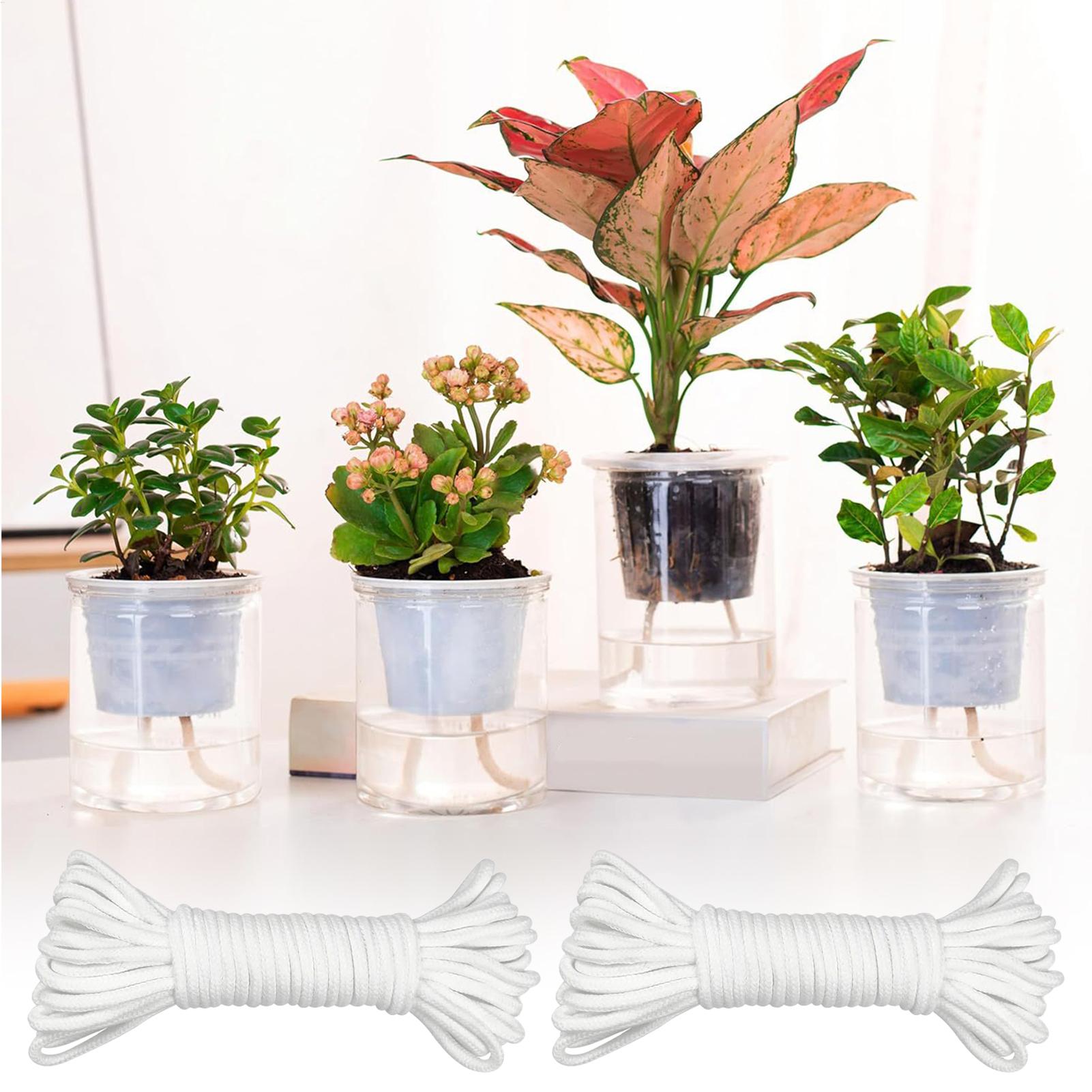 Corda per irrigazione automati - Self Watering Planter recensione e prezzo