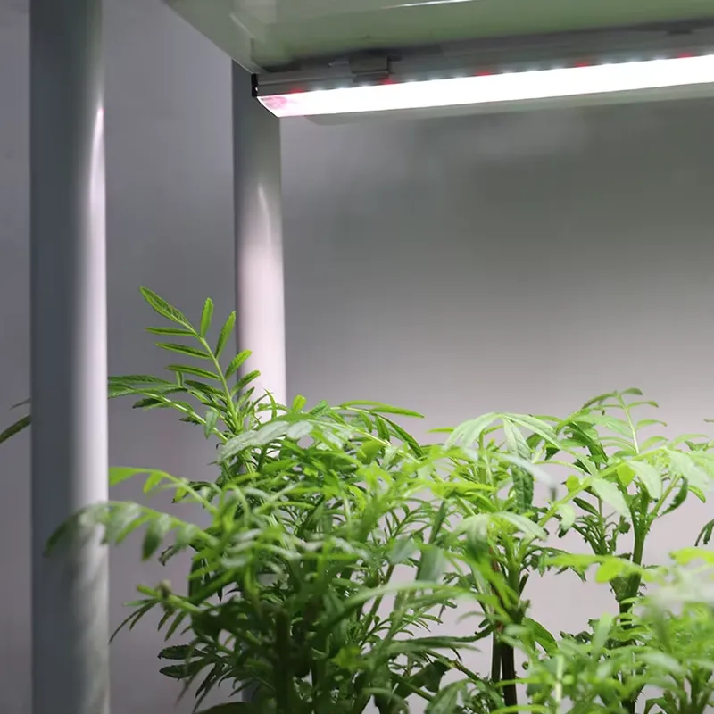 Sistema di Coltivazione Vertic - Smart Garden System recensione e prezzo