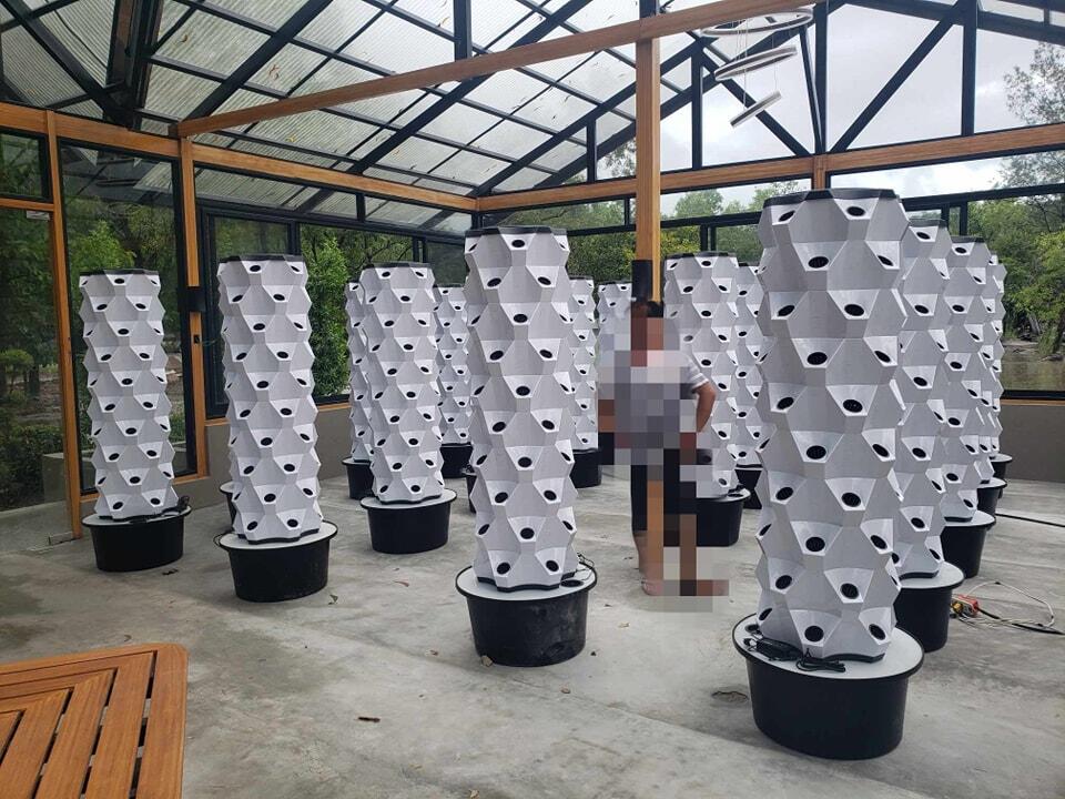 Sistema Idroponico Verticale p - Hydroponic Tower recensione e prezzo