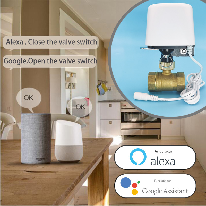 Valvola dell'Acqua WiFi Tuya Z - Smart Garden System recensione e prezzo
