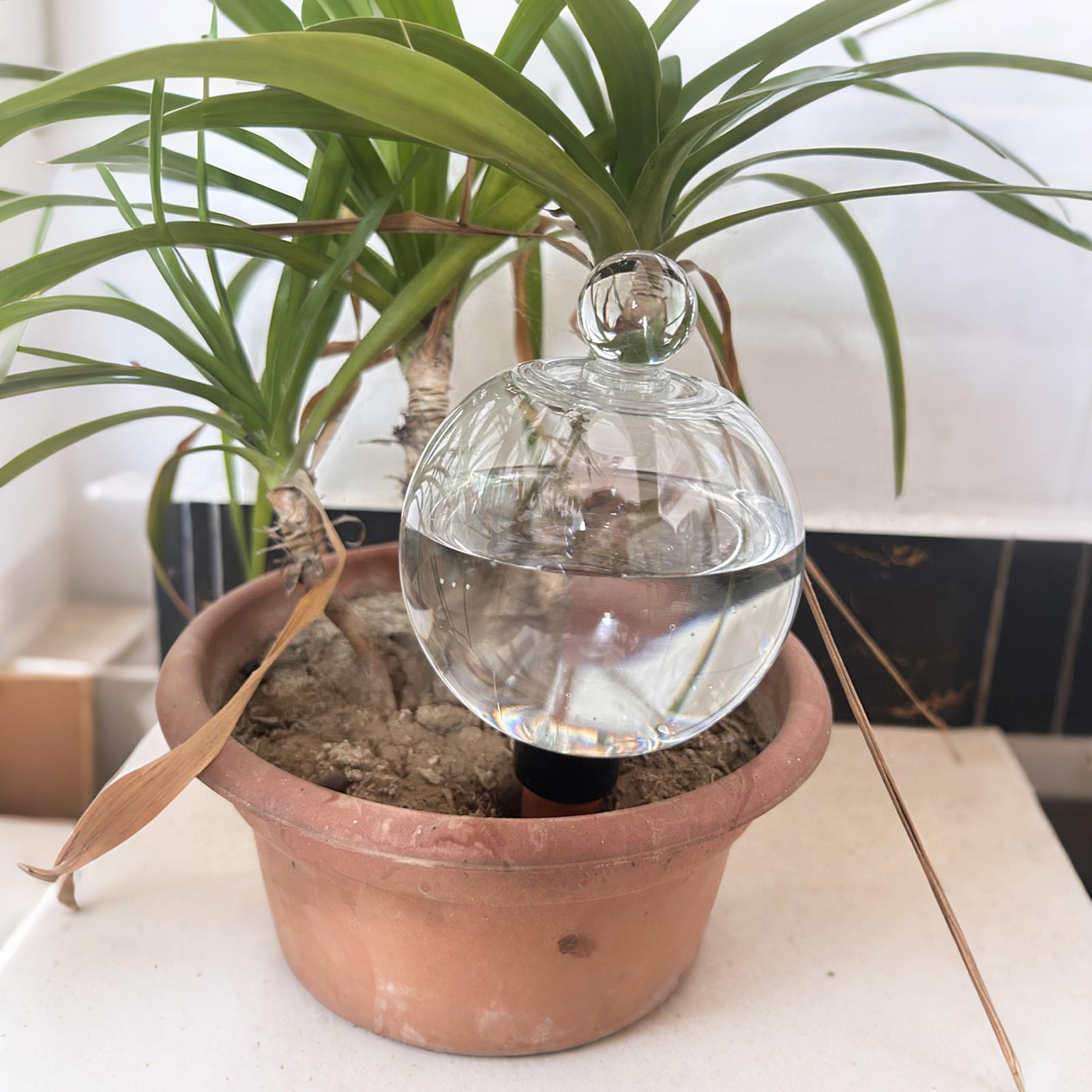 Globi per Irrigazione Piante 4 - Self Watering Planter recensione e prezzo