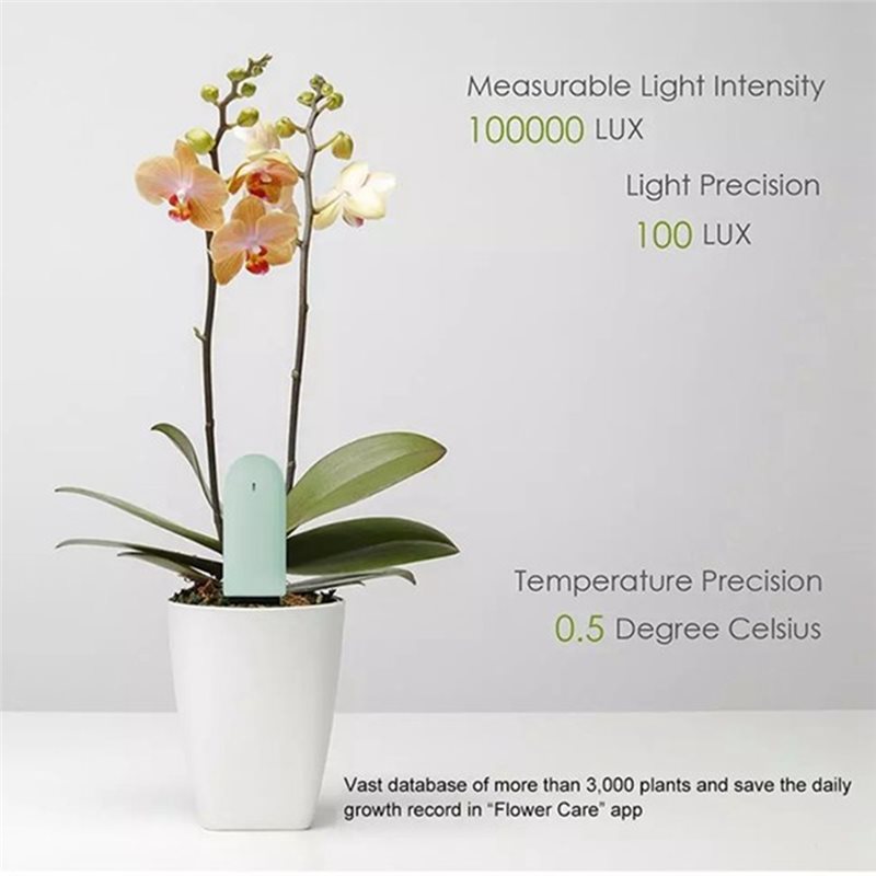 Monitor per Fiori 4 Pezzi Test - Plant Monitor recensione e prezzo