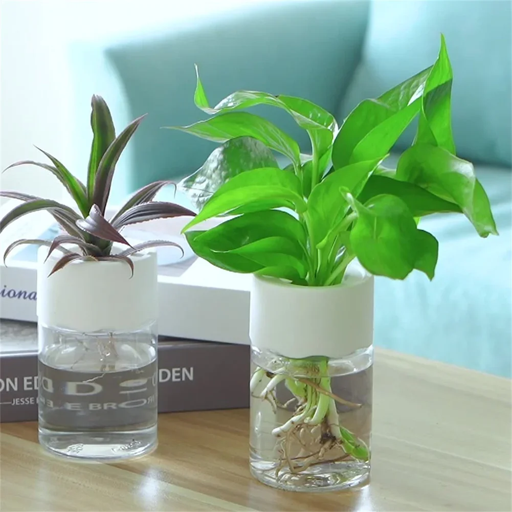 Mini Vaso Idroponico Trasparen - Hydroponic Grow Pod recensione e prezzo