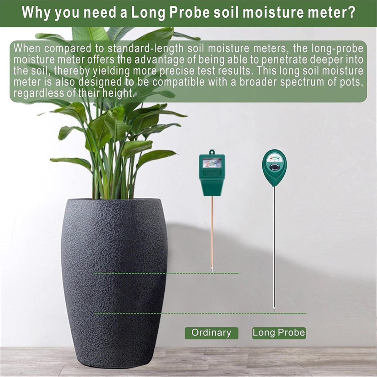 Misuratore di umidità del terr - Plant Monitor recensione e prezzo