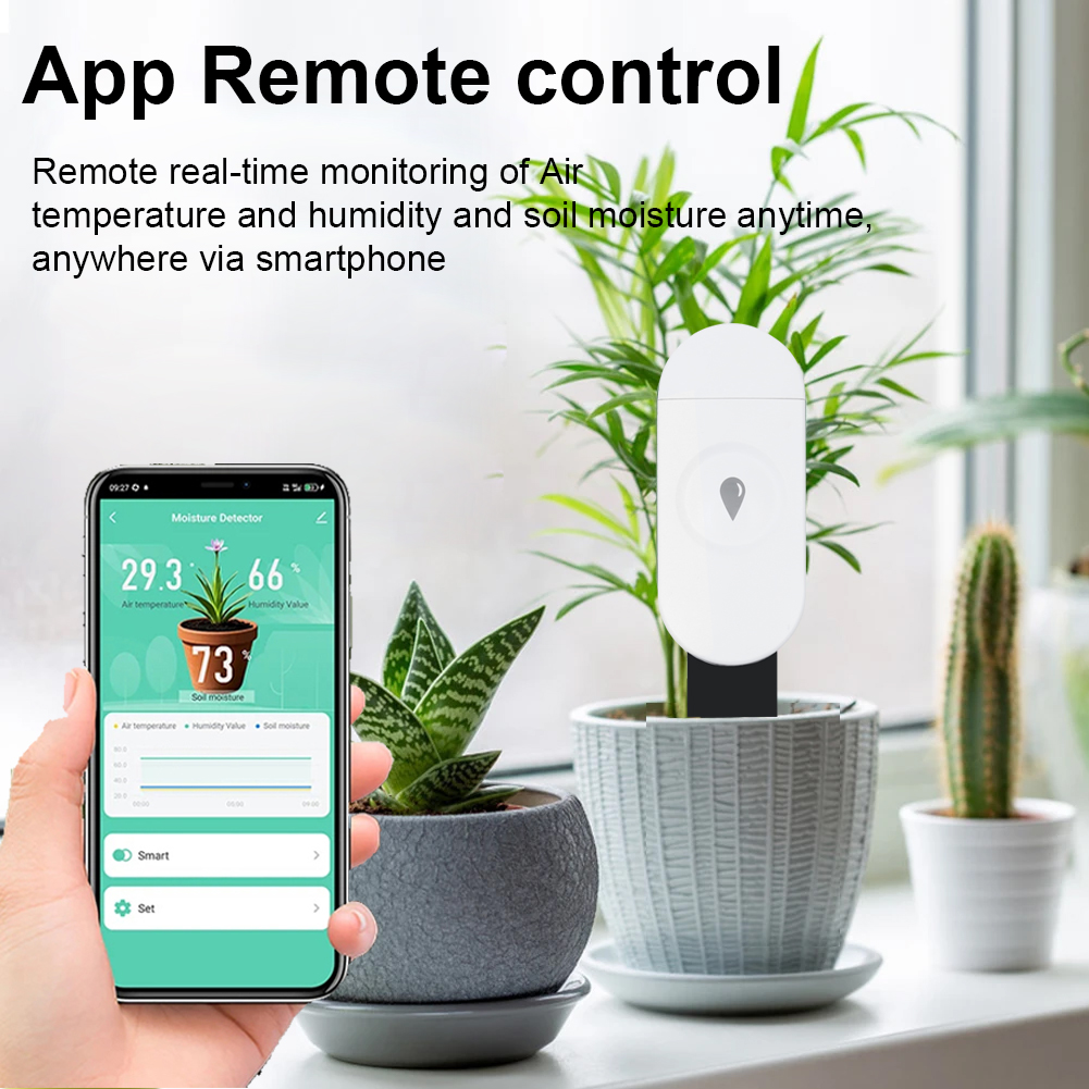 Tuya Zigbee Rilevatore di umid - Garden Camera recensione e prezzo