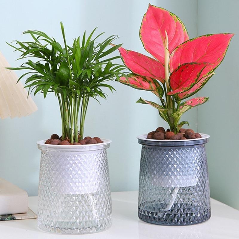 2024 Vaso da fiori trasparente - Hydroponic Grow Pod recensione e prezzo