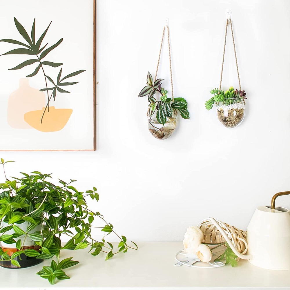 Vaso Sospeso Idroponico Traspa - Hydroponic Grow Pod recensione e prezzo