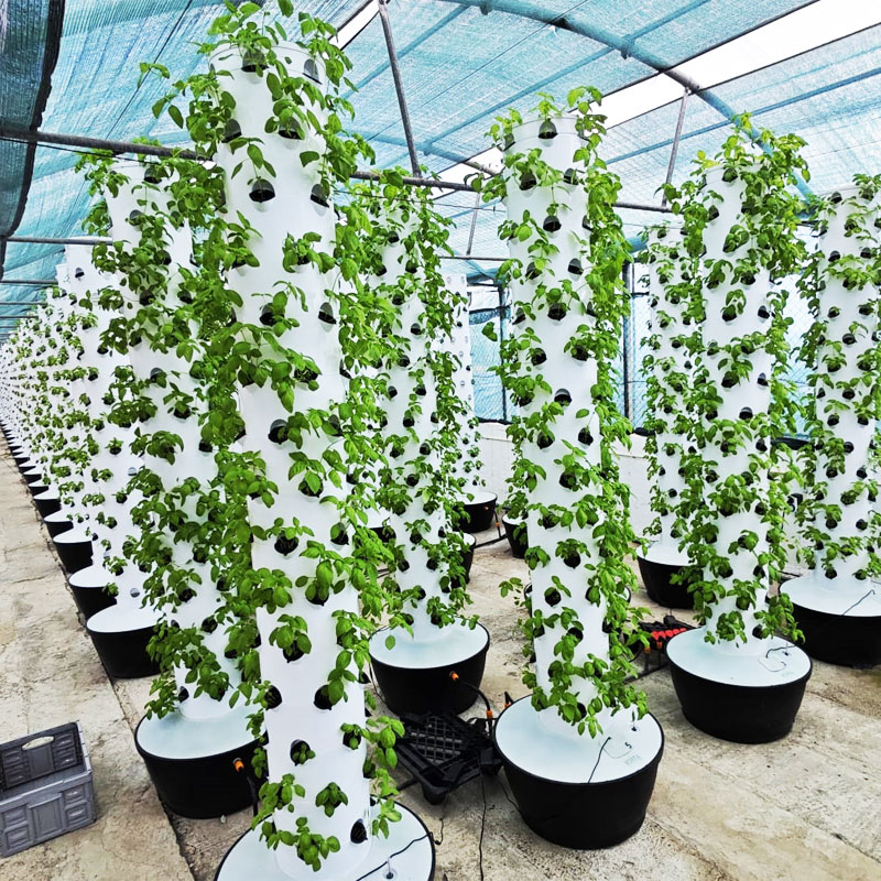 Sistema di Coltivazione Idropo - Hydroponic Tower recensione e prezzo