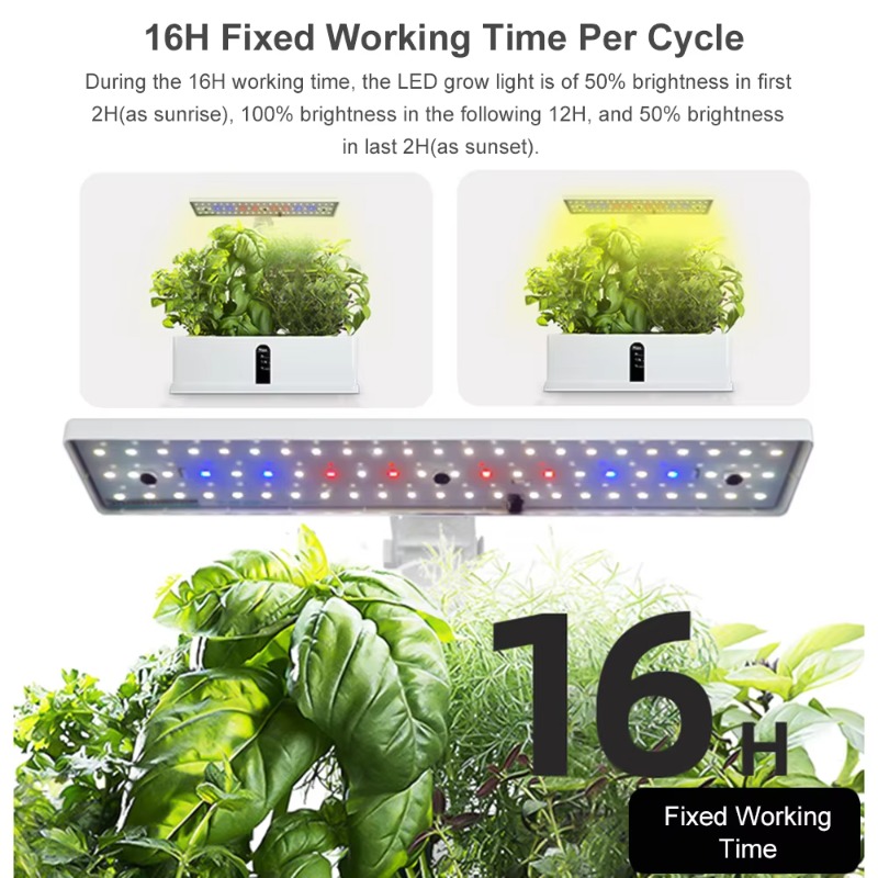 Sistema di Coltivazione Idropo - Hydroponic Grow Pod recensione e prezzo