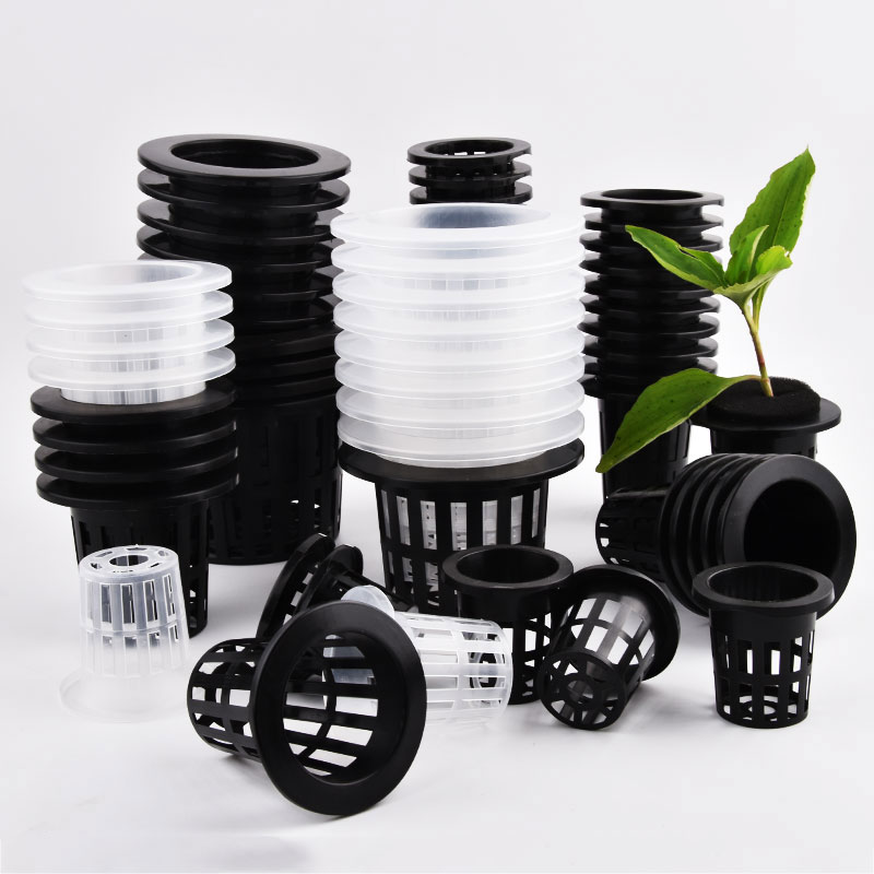 50 Pezzi Vasi per Coltivazione - Hydroponic Grow Pod recensione e prezzo