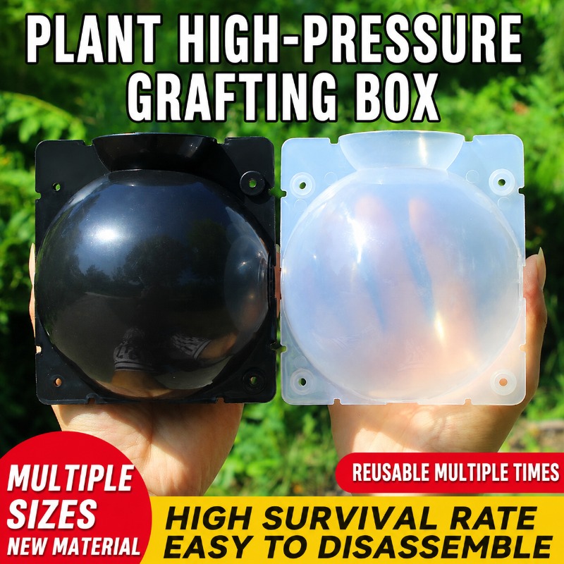 Kit di propagazione delle pian - Indoor Garden Kit recensione e prezzo