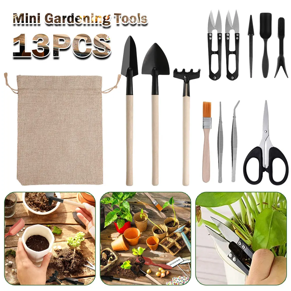 Set di attrezzi per piante suc - Indoor Garden Kit recensione e prezzo