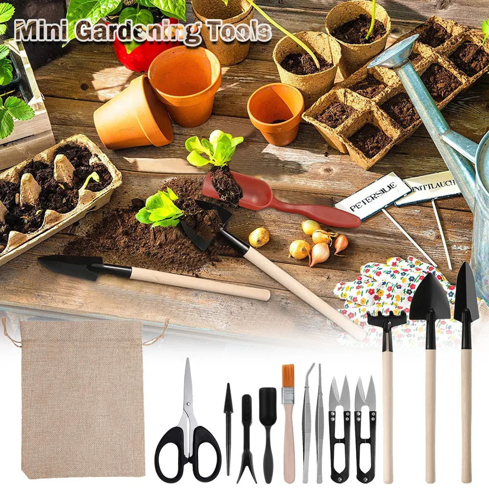 Set di attrezzi per piante suc - Indoor Garden Kit recensione e prezzo