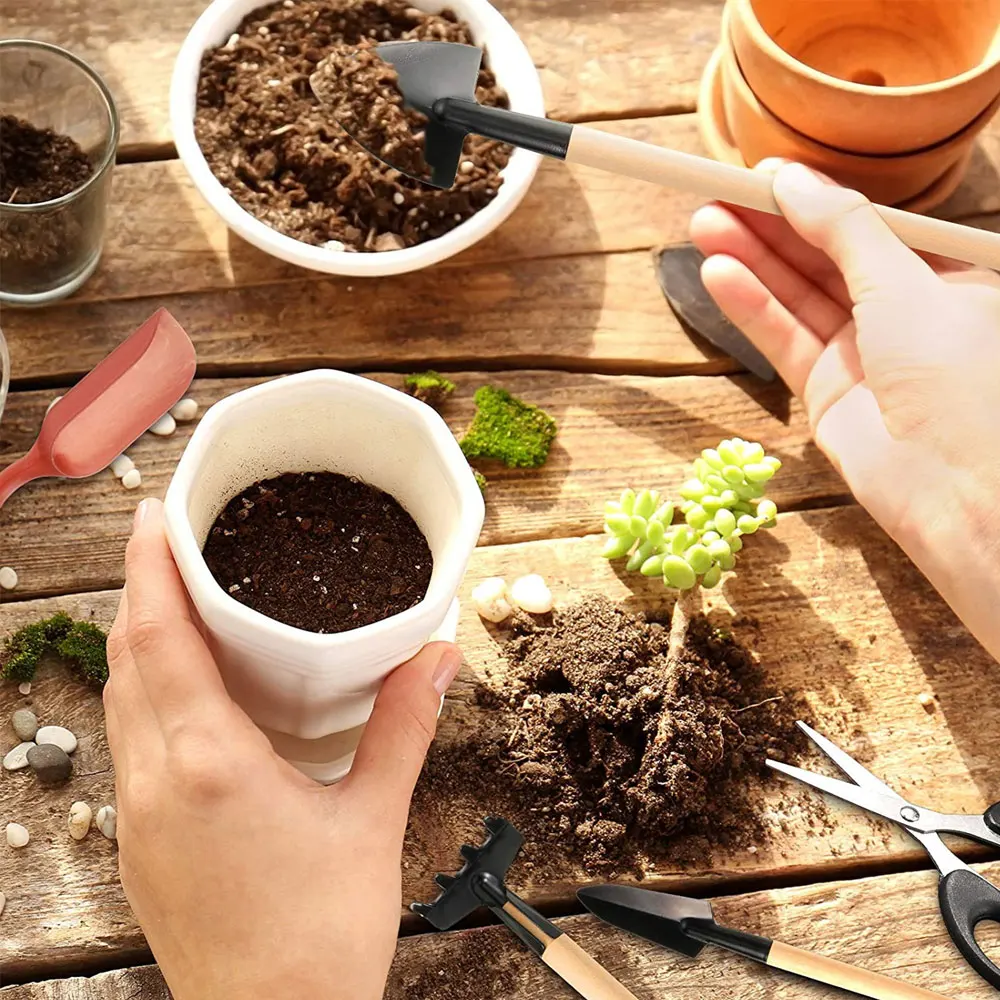 Set di attrezzi per piante suc - Indoor Garden Kit recensione e prezzo