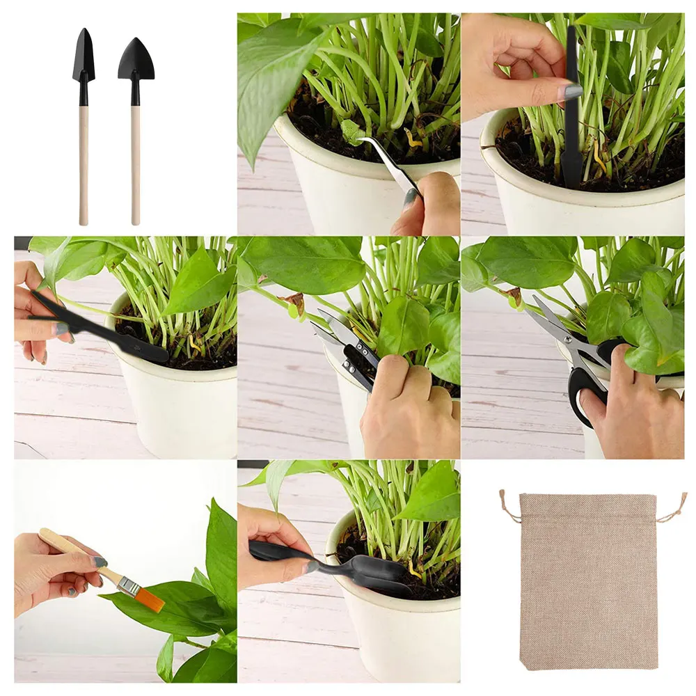 Set di attrezzi per piante suc - Indoor Garden Kit recensione e prezzo