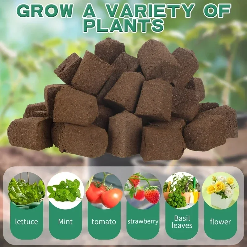 Kit di Spugne per Germinazione - Indoor Garden Kit recensione e prezzo