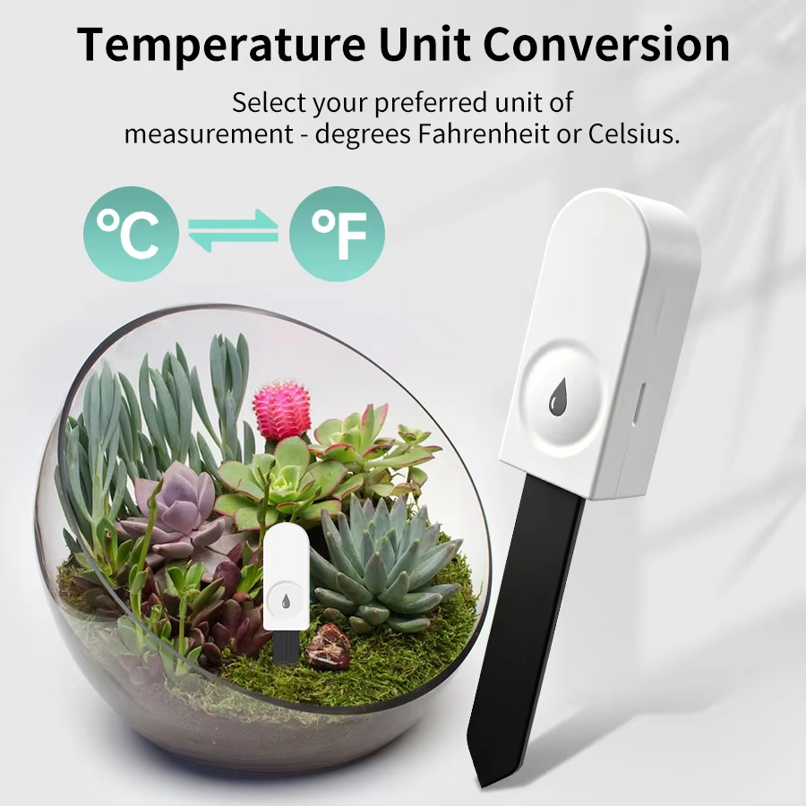 Monitor per Piante Zigbee 3.0, - Garden Camera recensione e prezzo
