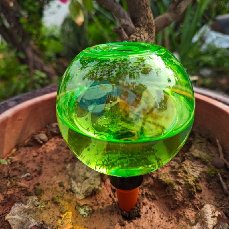 Set di 3 Grandi Sfere Autoirri - Self Watering Planter recensione e prezzo