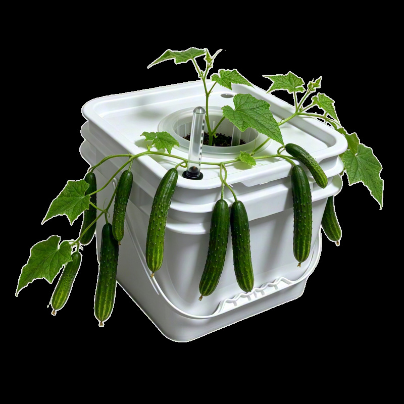 Torre Idroponica da Tavolo 8L, - Hydroponic Tower recensione e prezzo