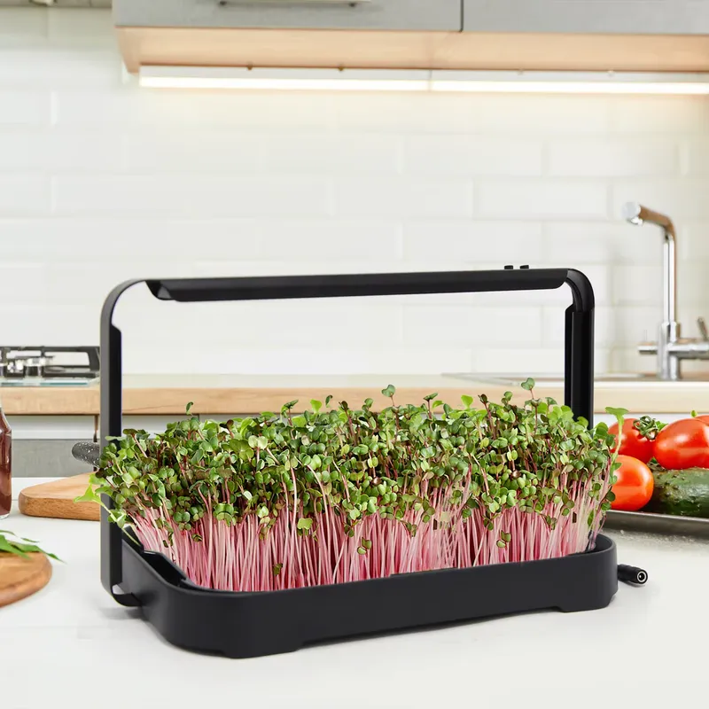 Vassoio Idroponico per Microgr - Smart Garden System recensione e prezzo