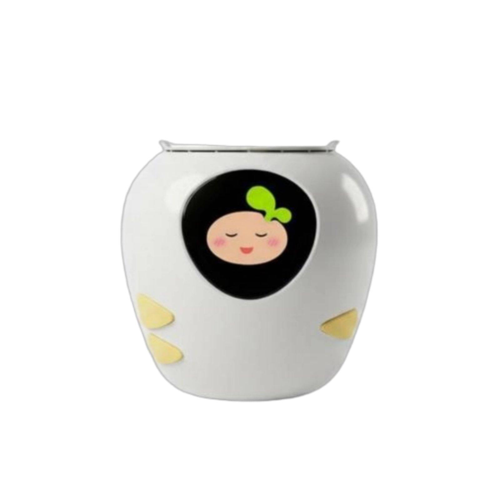 Vaso Interattivo con Funzione  - Automatic Watering recensione e prezzo