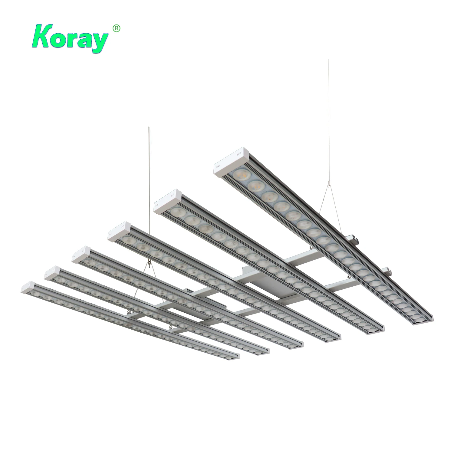Luce LED per Piante Koray 900W - Grow Light Led recensione e prezzo