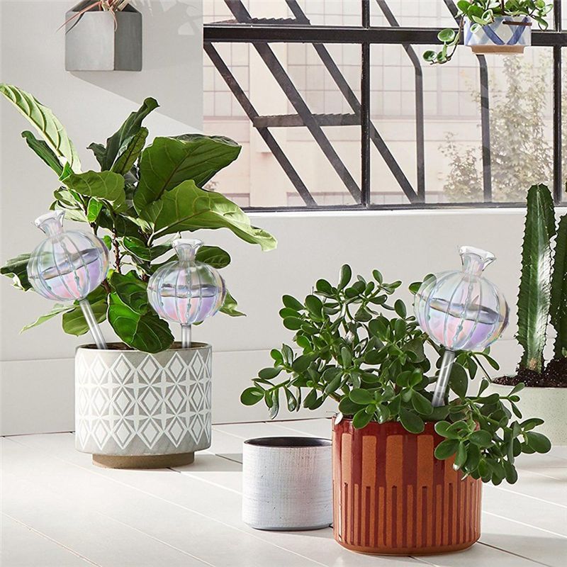 AA94 – Bulbi per l’irrigazione - Self Watering Planter recensione e prezzo